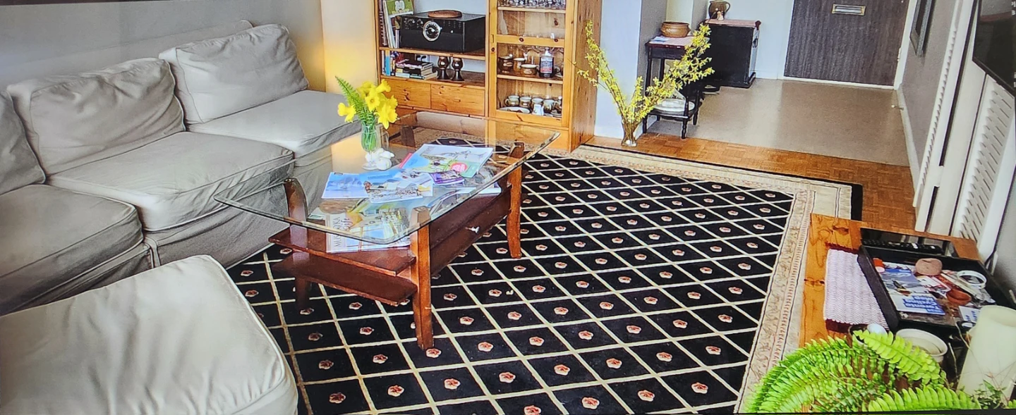 Carpet - wool - dry clean - photo 4