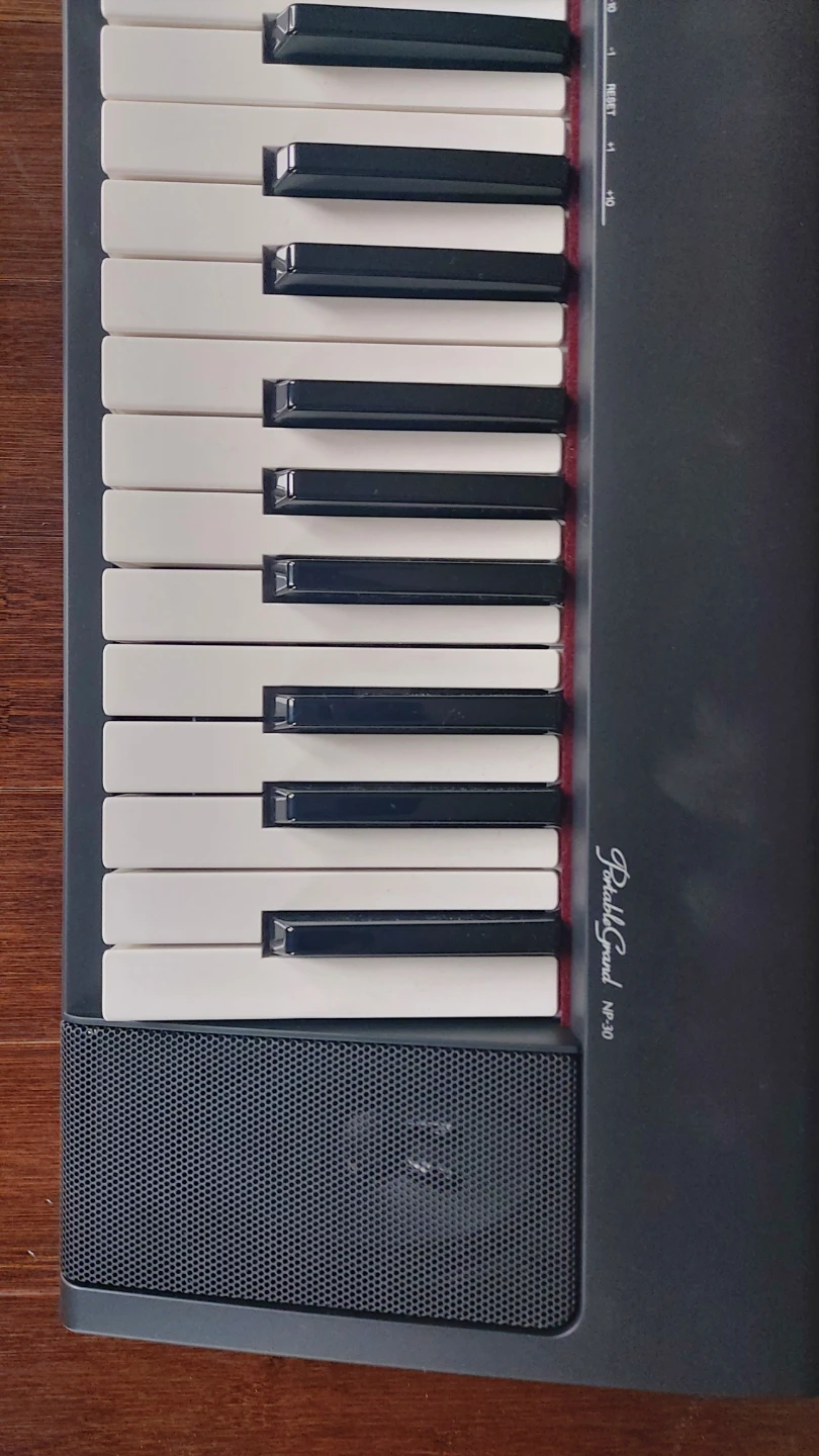 Yamaha Portable Grand P-30 Digital Piano with Case - photo 2