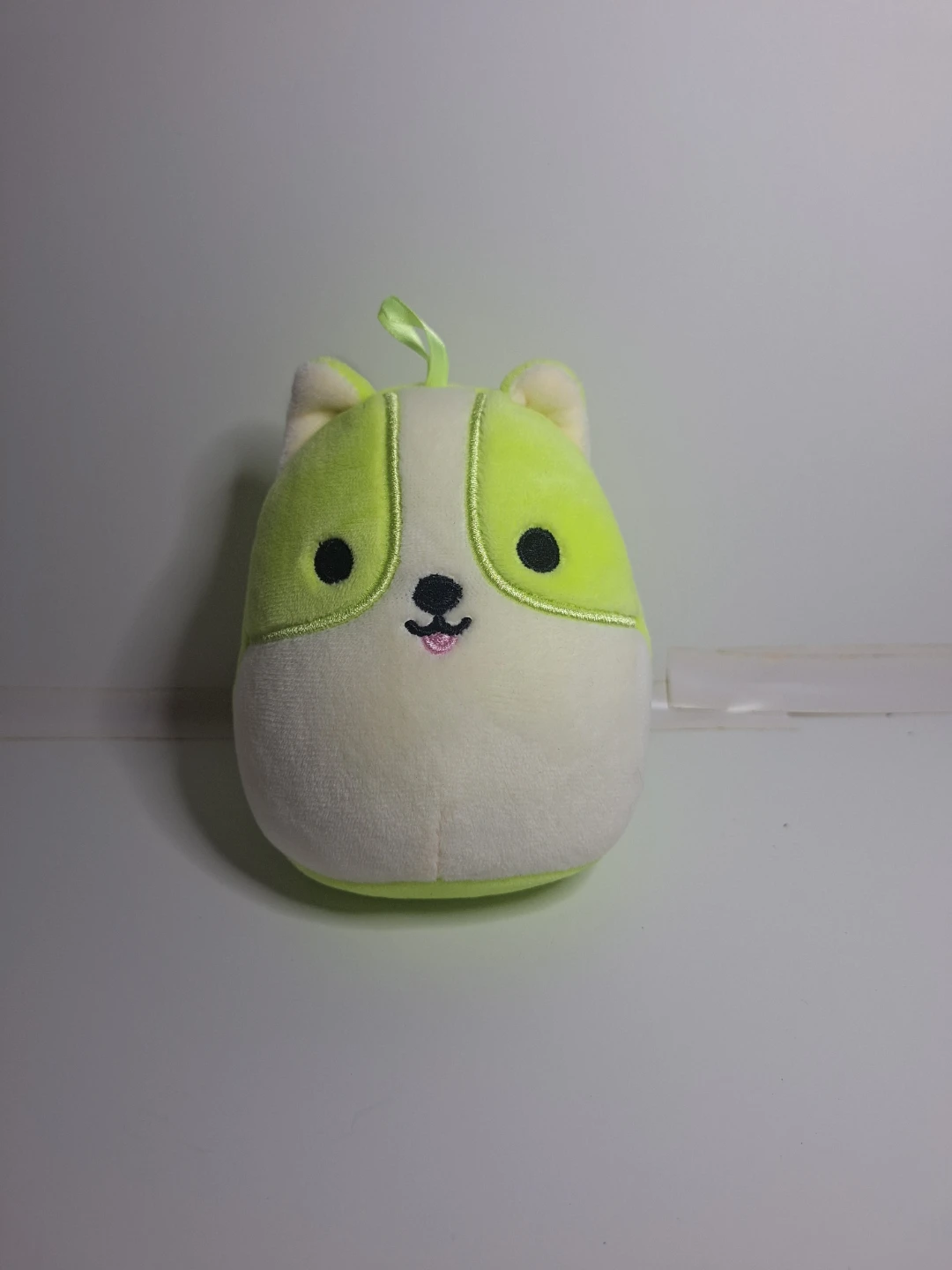 Squishmallows 4” REGINALD the yellow green Corgi DOG