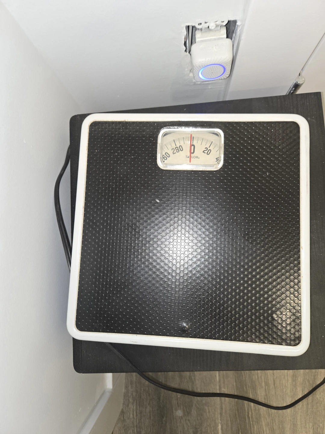 Taylor Mechanical Scale