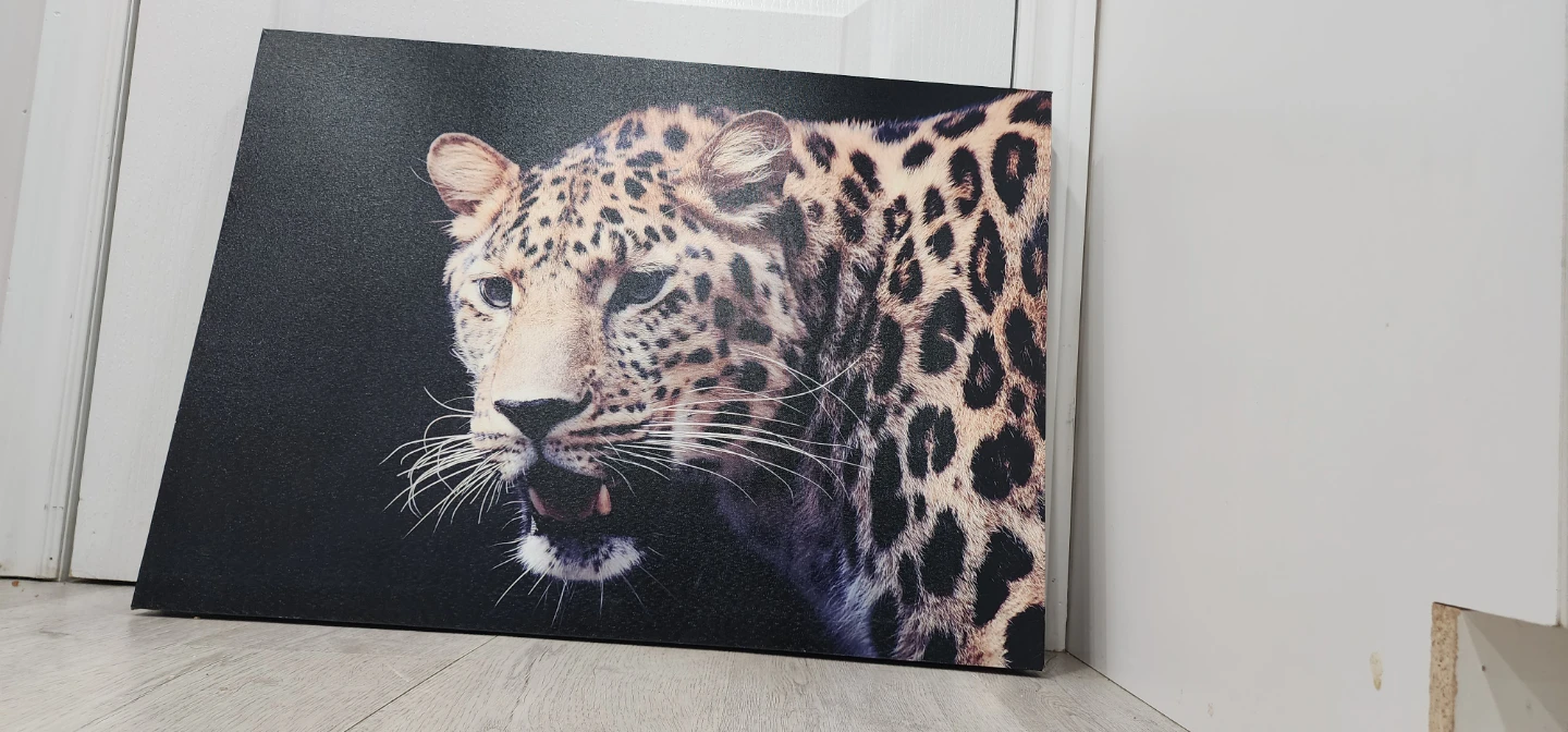 Canvas Print of a Leopard