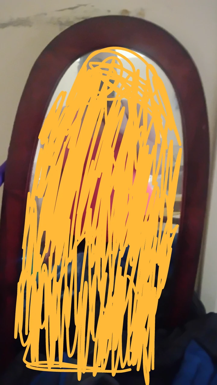 🥕Oval Dark Wood Framed Mirror