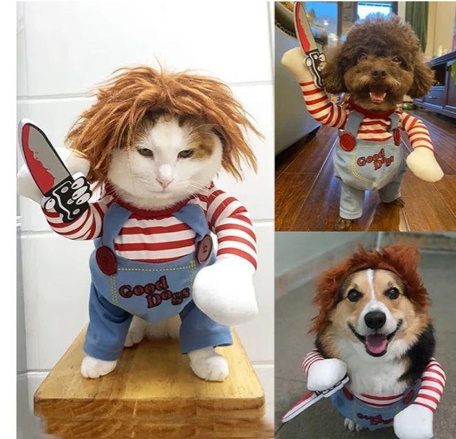 NEW!    Dog Costume - Small 🧡 - photo 4