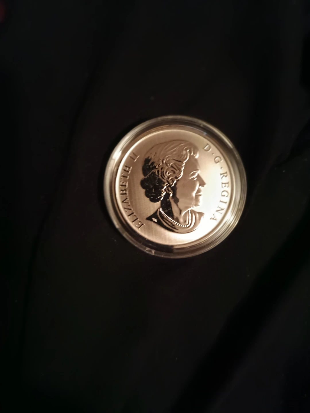2014 Royal Canadian Mint 25-Cent Coloured Coin - Harlequin Duck - photo 3