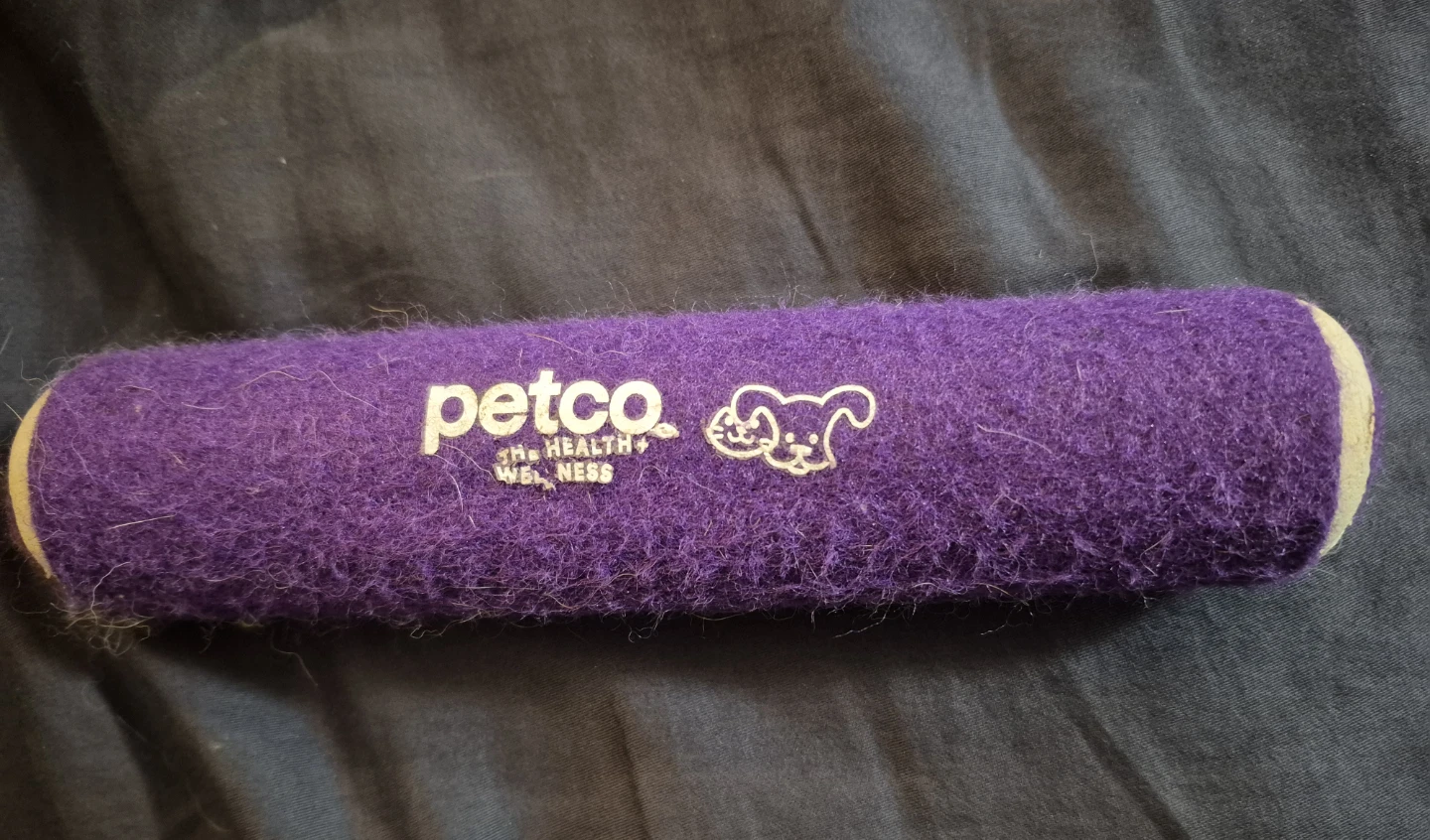 Petco Purple & Blue Tennis Ball Dog Toy