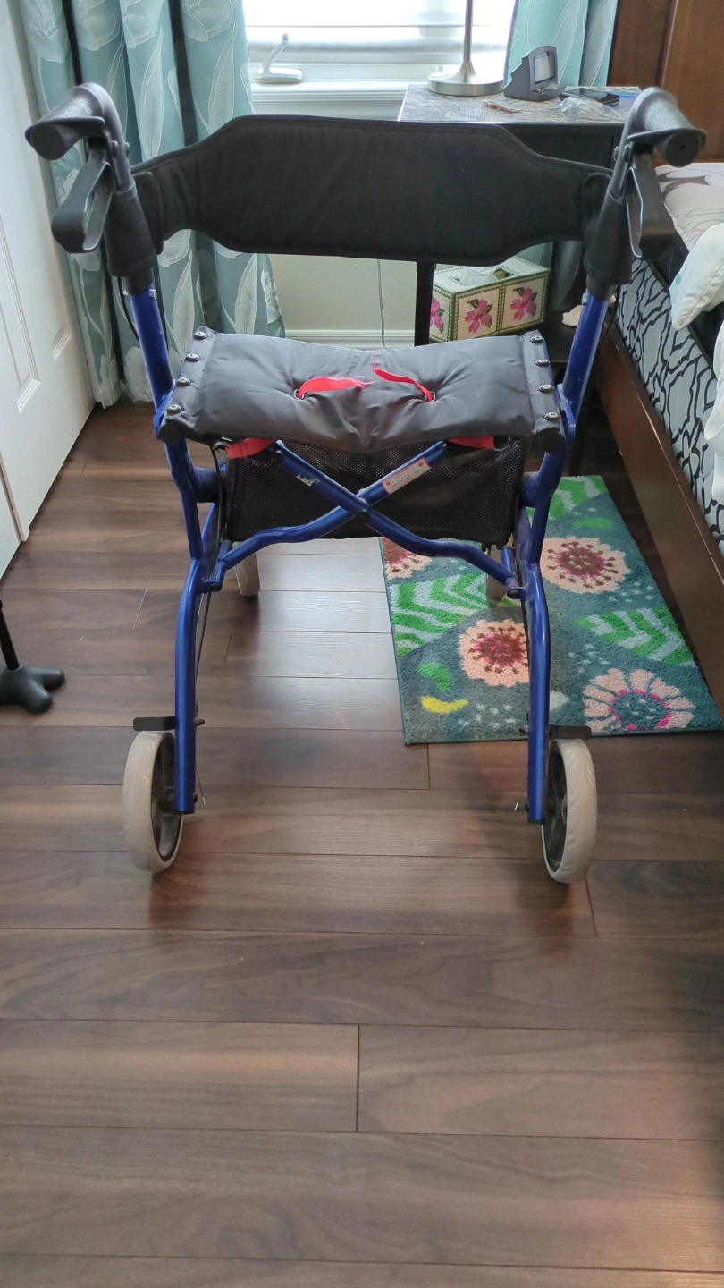 Ovation 805 Compact Walker - photo 4
