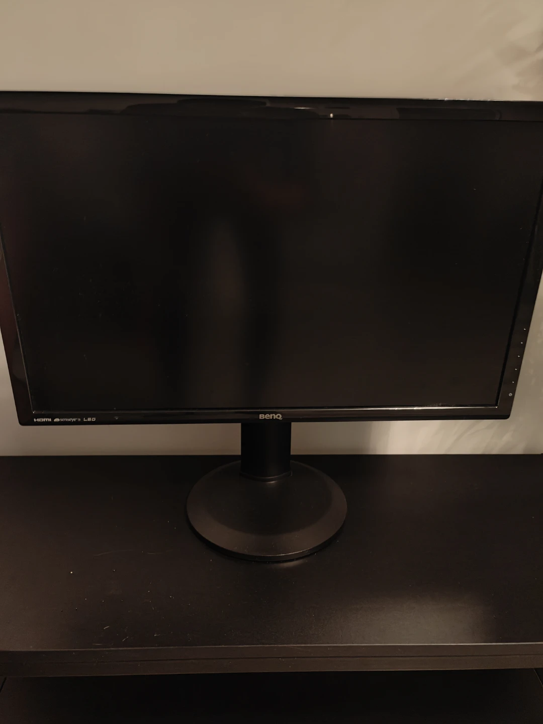 BenQ computer Monitor (BIG SIZE)