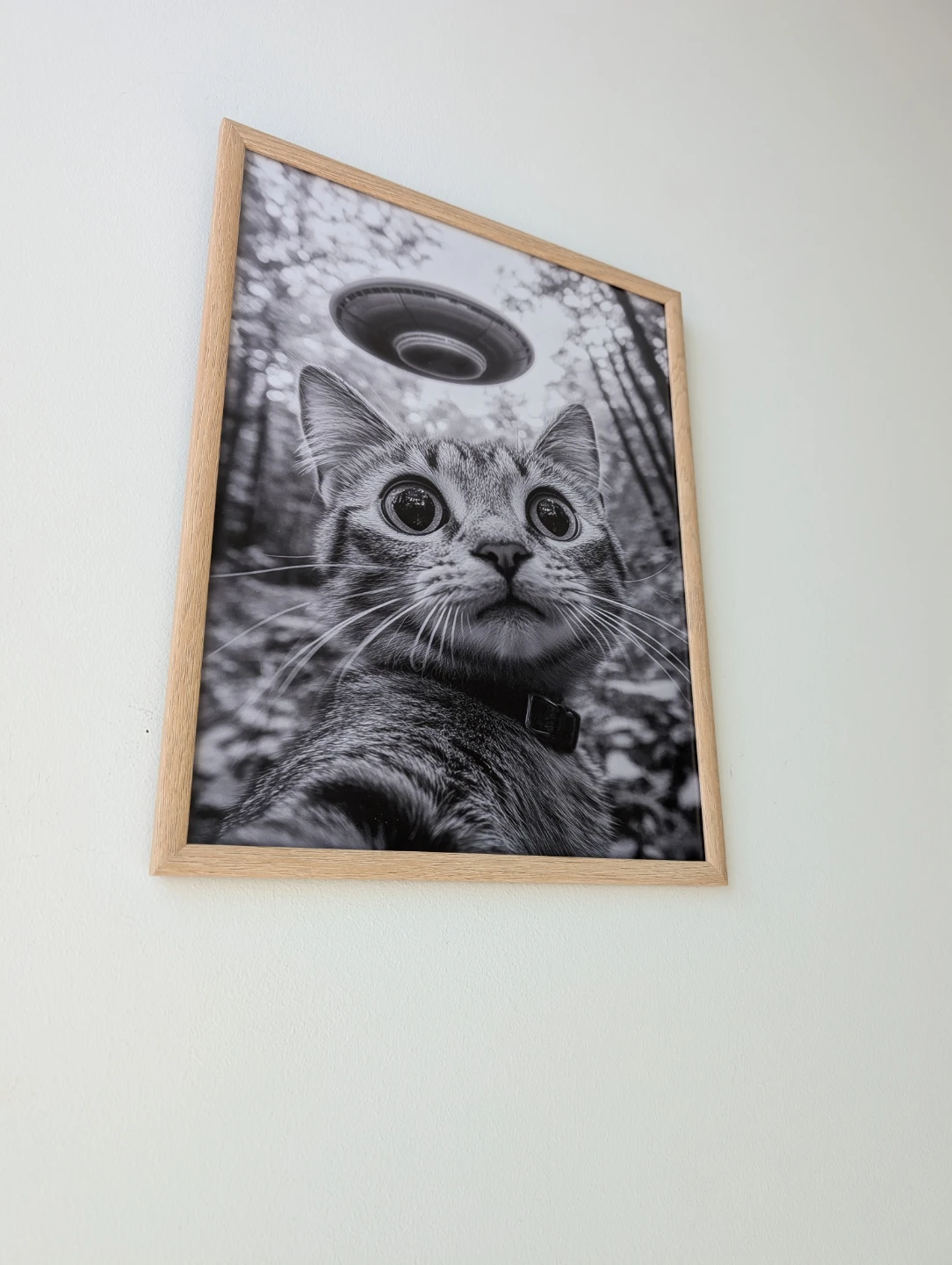 Framed Cat and UFO Art Print 36x29cm - photo 2