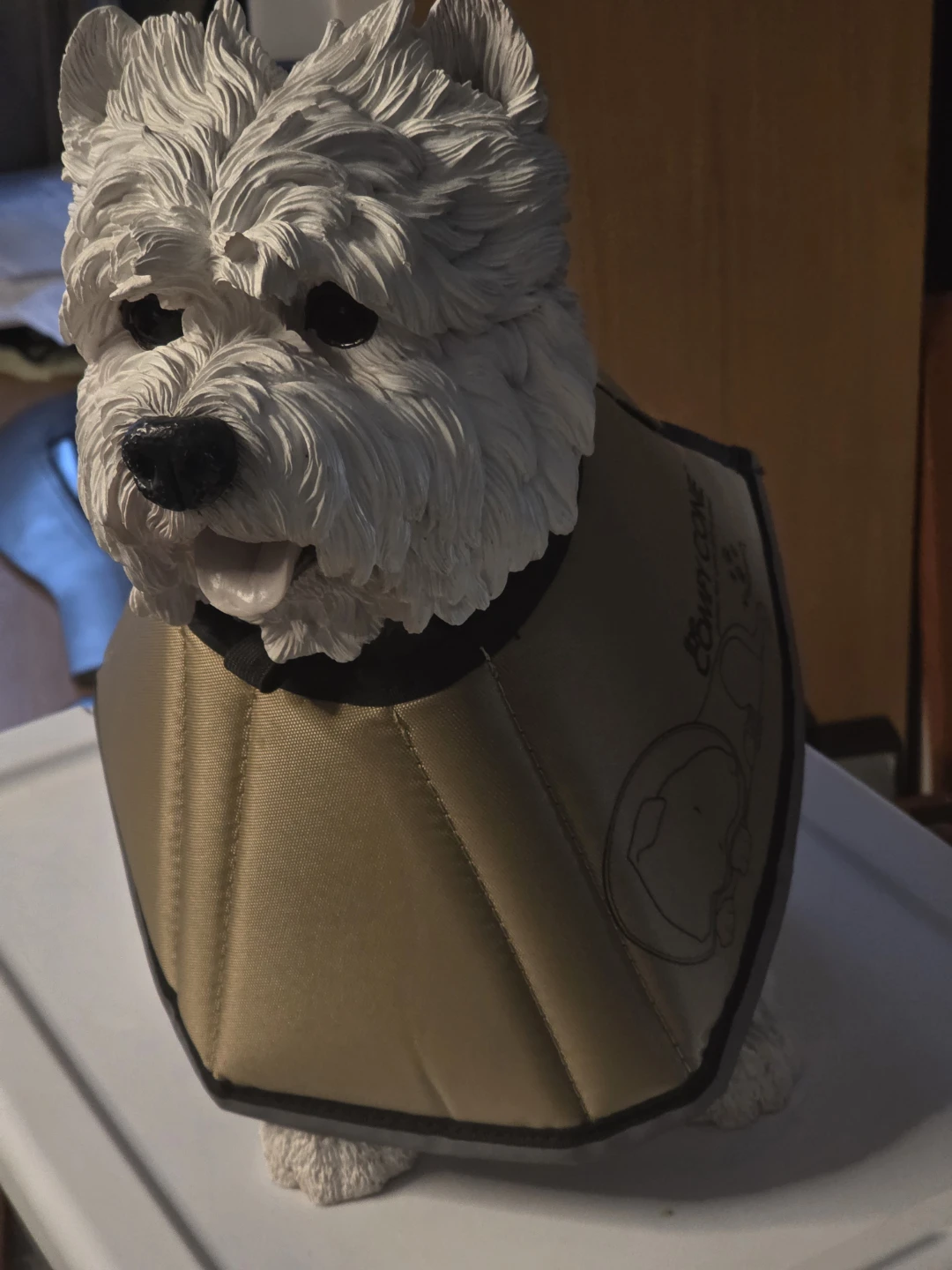 Dog cone small