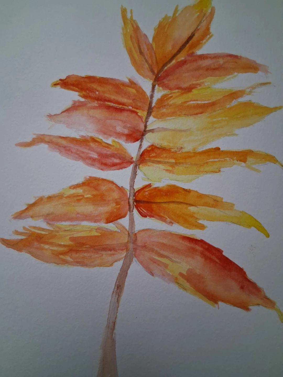 Watercolor painting of autumn leaves