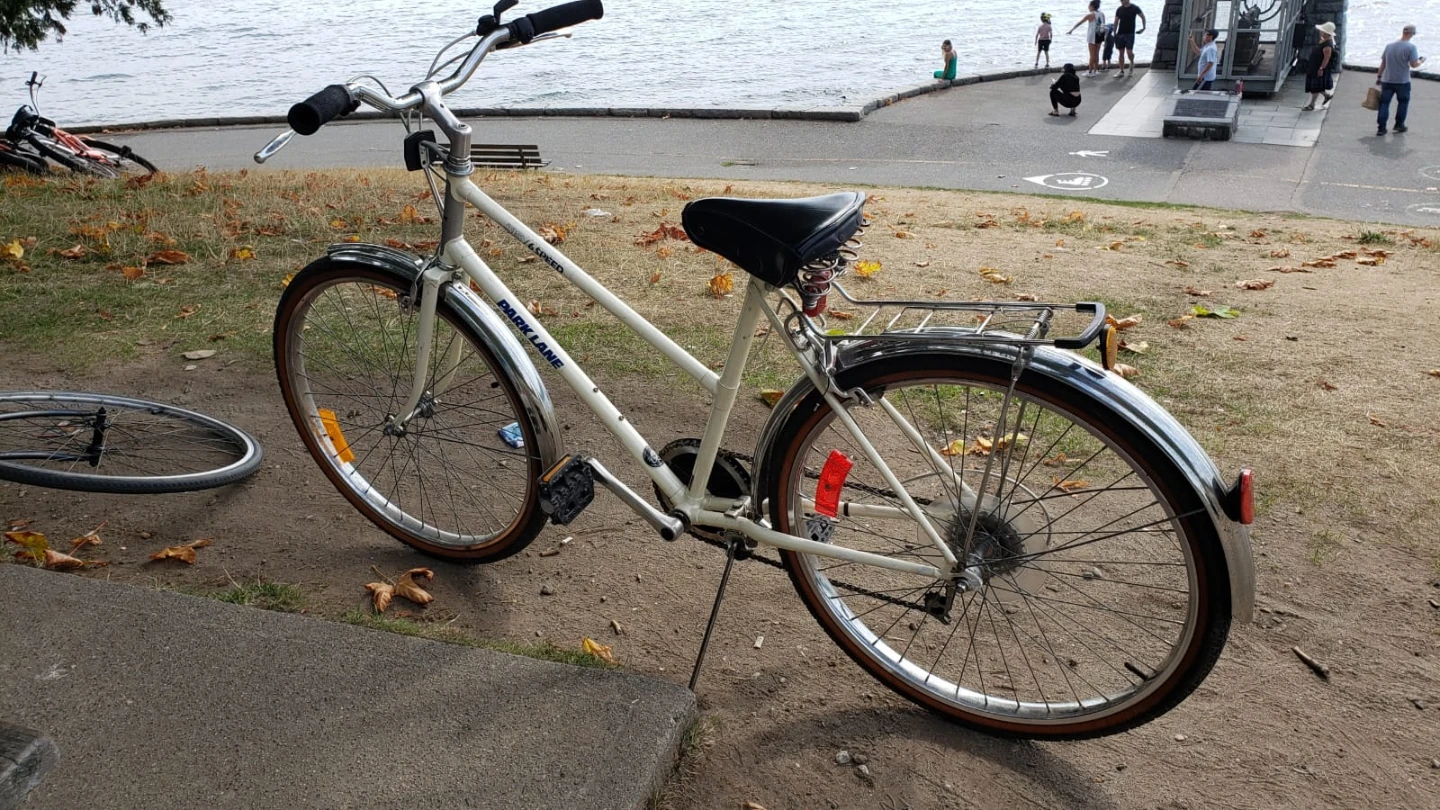 White Park Lane Bicycle - photo 2