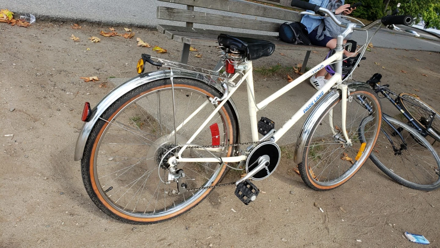 White Park Lane Bicycle - photo 4
