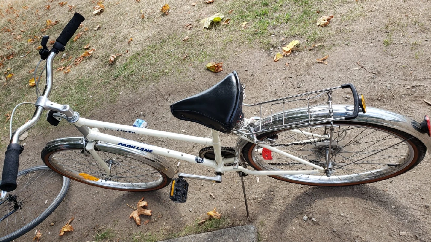 White Park Lane Bicycle - photo 5