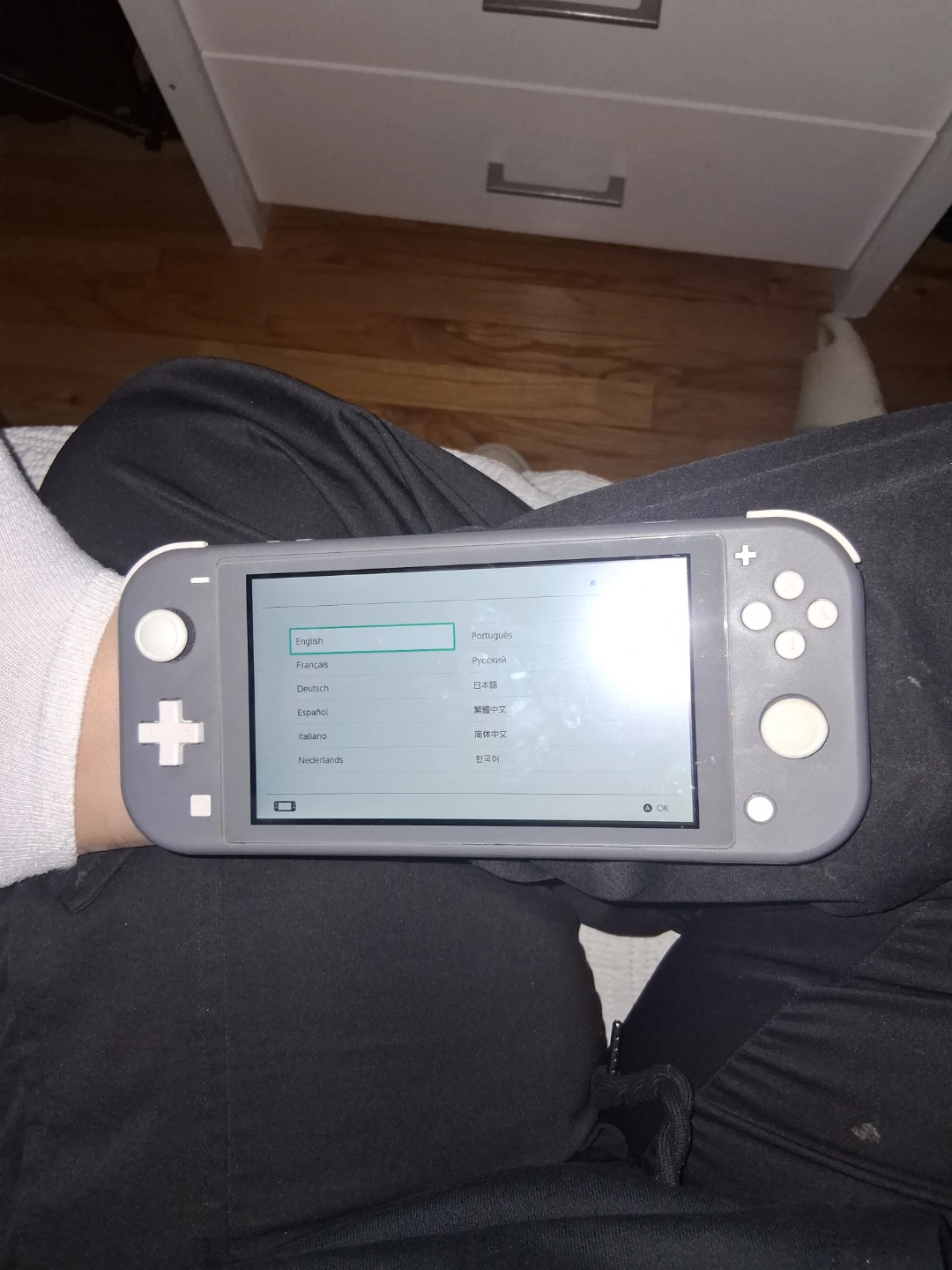 Nintendo Switch Lite Console