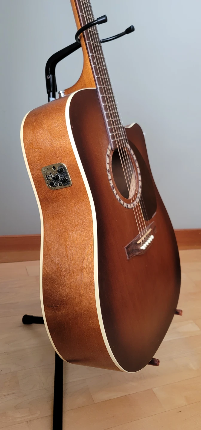 Art & Lutherie acoustic-electric guitar - photo 5