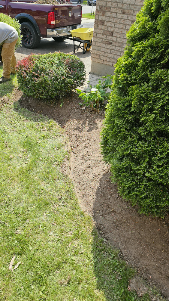 spring cleanup and junk removal