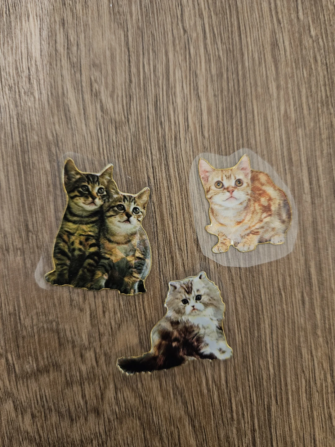 Cute Cat Stickers - 3