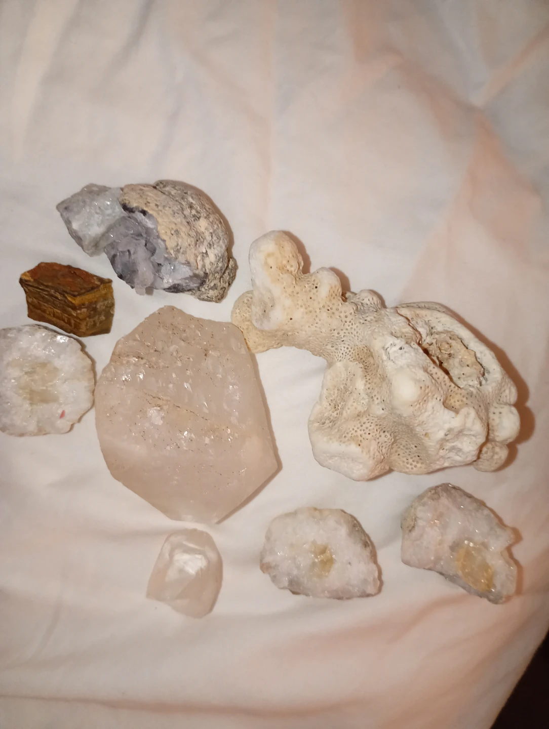 Assorted Rocks, Crystals, and Coral