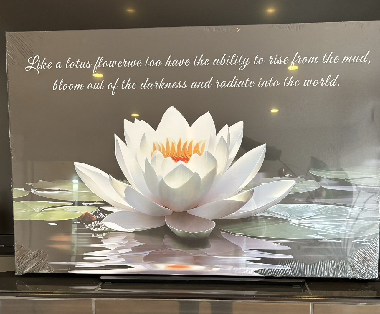 New Beautiful Print - photo 2