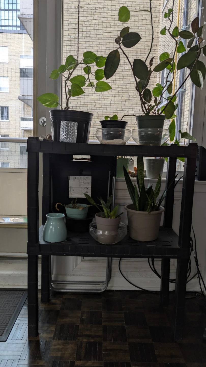 Black Plastic 2-Tier Shelving Unit