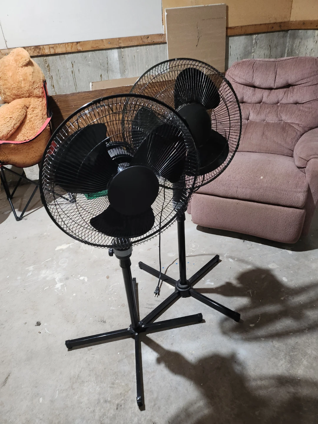 Pair of Black Pedestal Fans