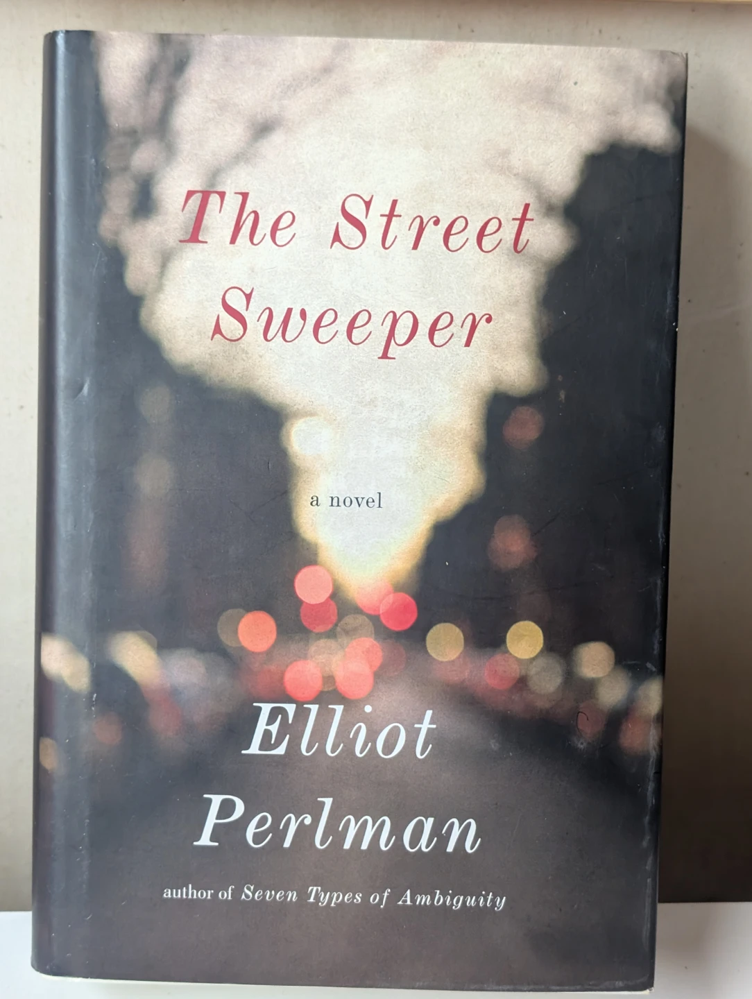 The Street Sweeper by Elliot Perlman Novel
