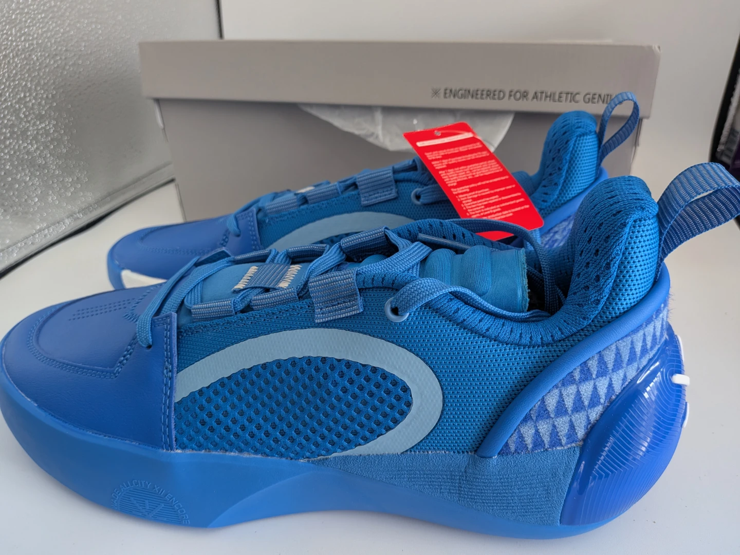 Li-Ning Wade Basketball Shoes US12 🥕