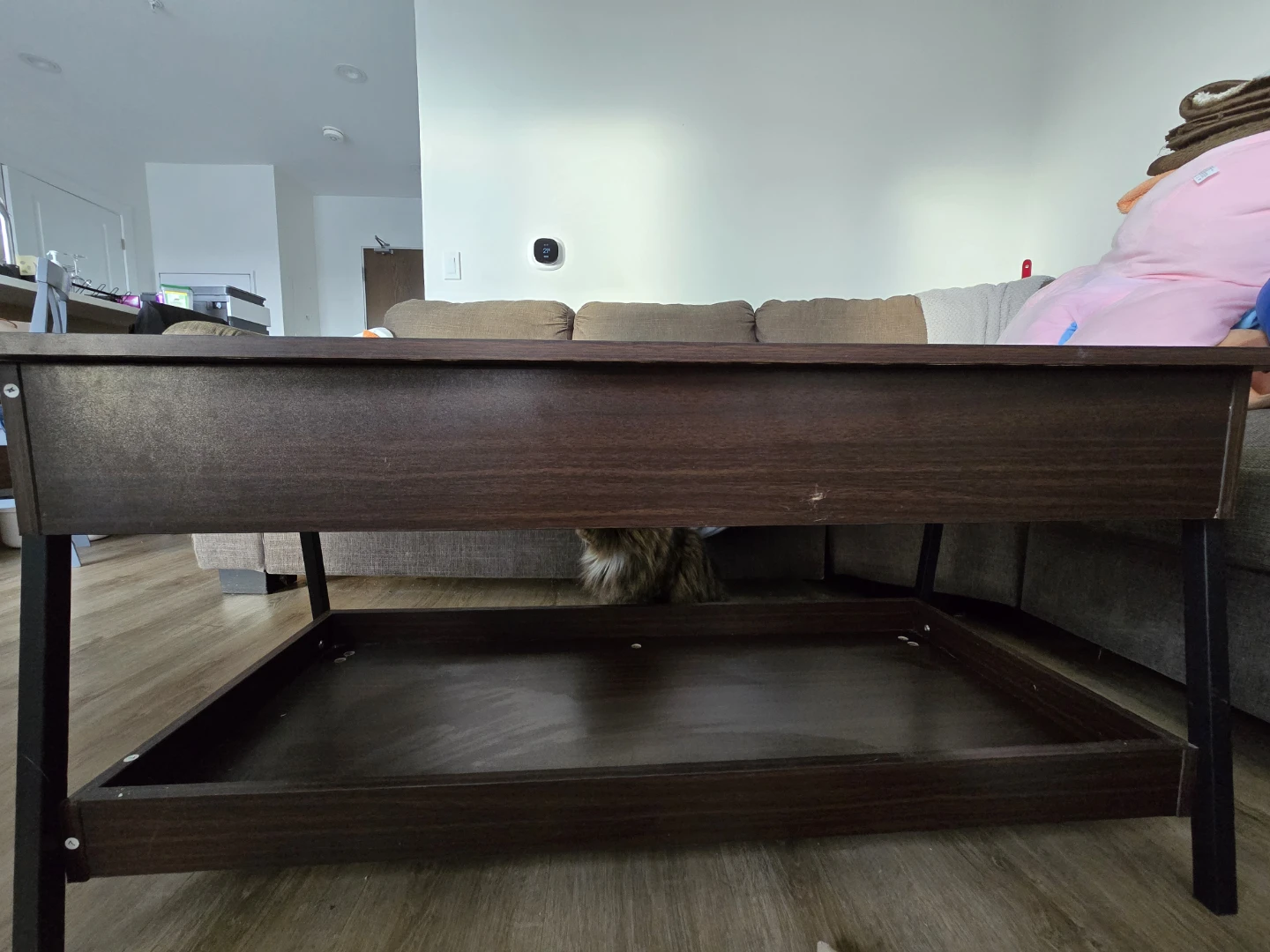 Coffee Table with Storage