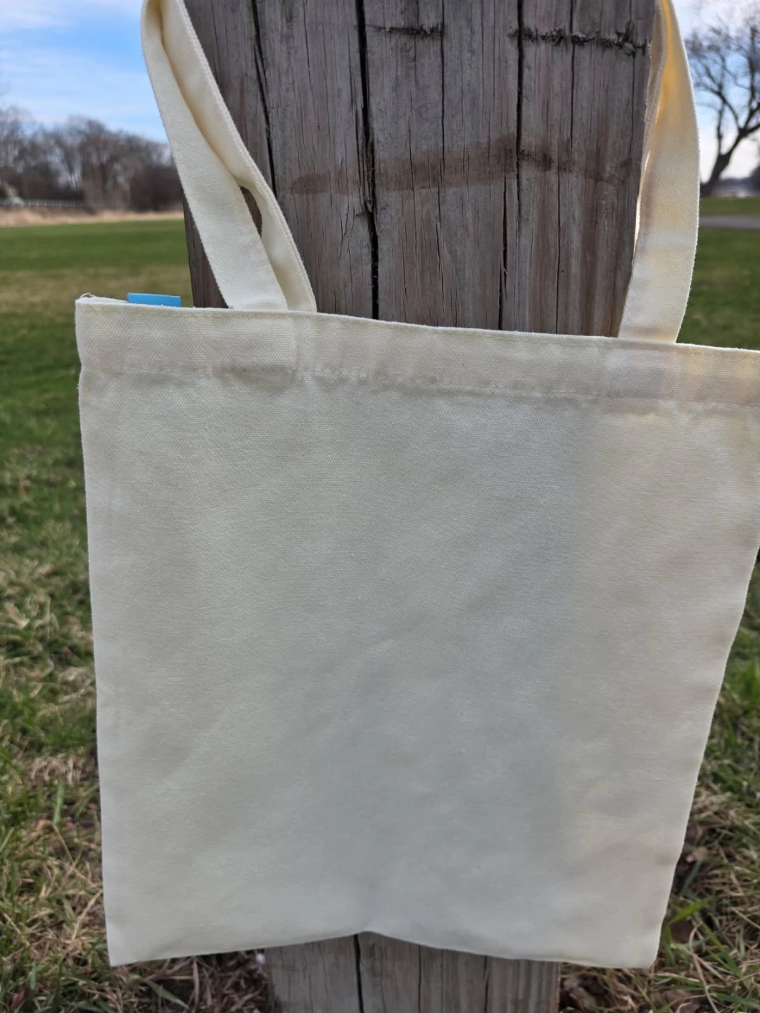Mooshie Totes Canvas Tote Bag - Mushroom Print - photo 4