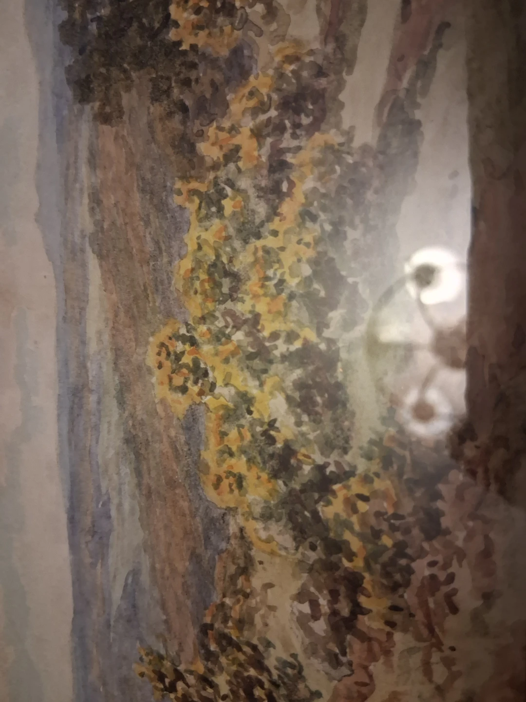 Framed Watercolour Painting Gorse Blossoms Dartmoor B. Morrish - photo 5