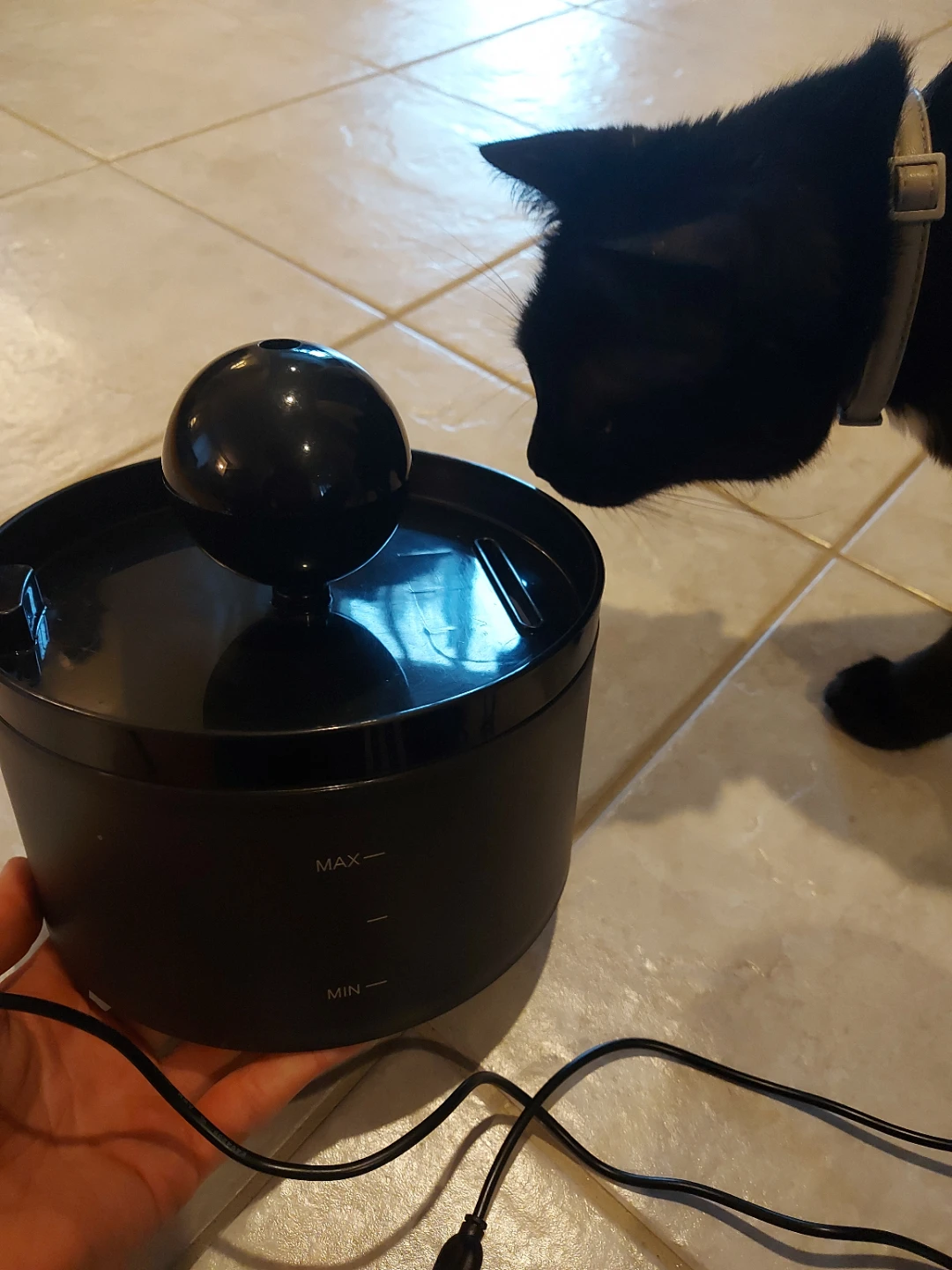 Black Pet Water Fountain