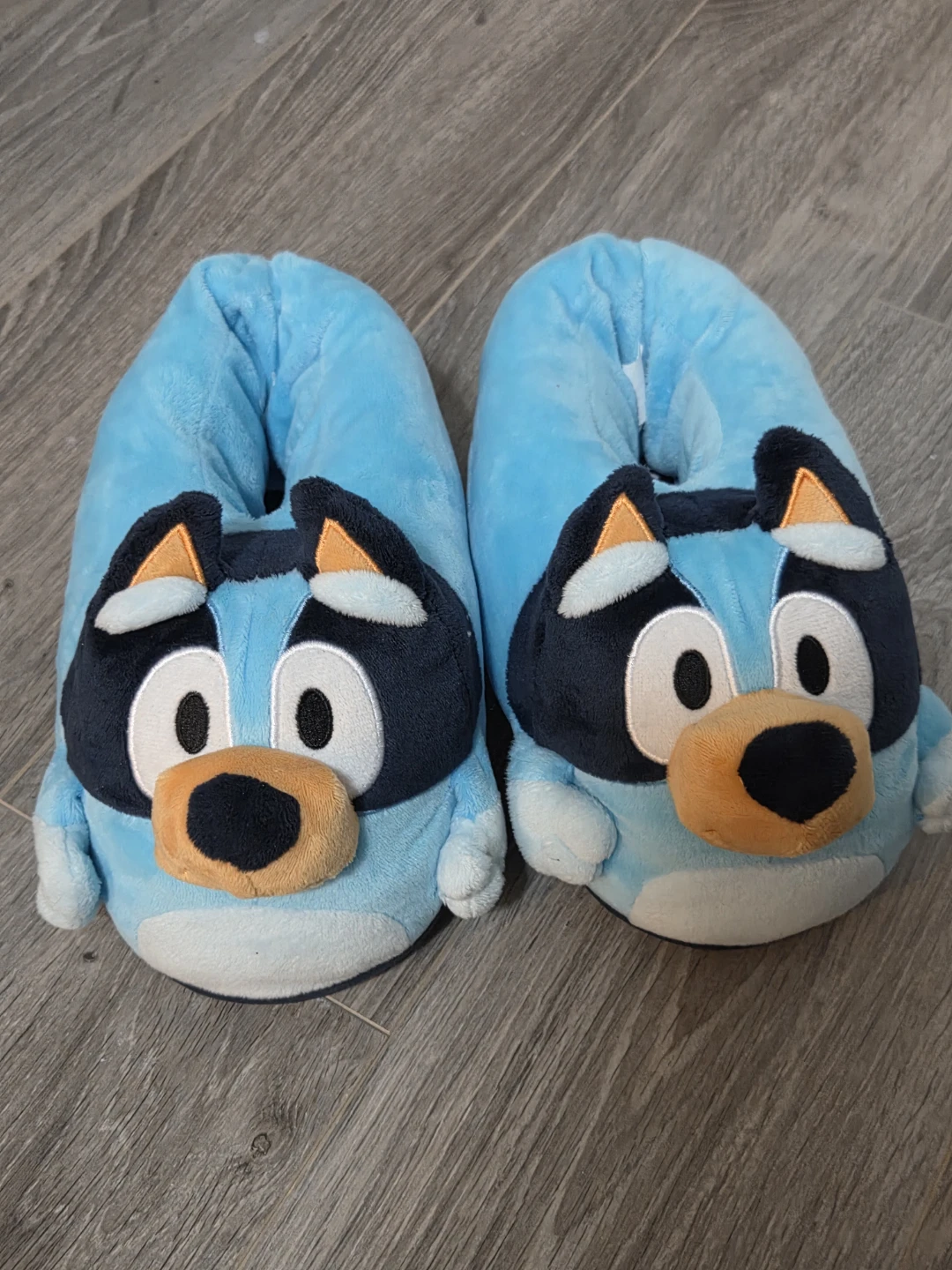 Bluey Character Slippers