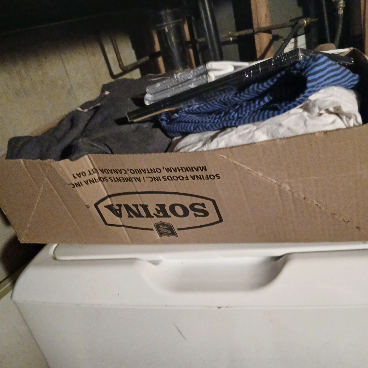 Boy clothing size 10 - 12