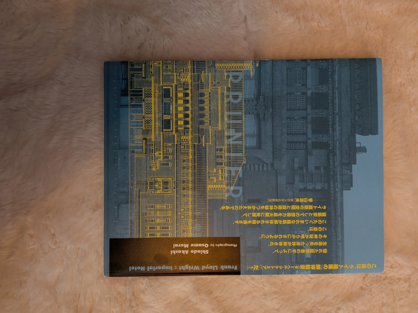 Frank Lloyd Wright: Imperial Hotel Book