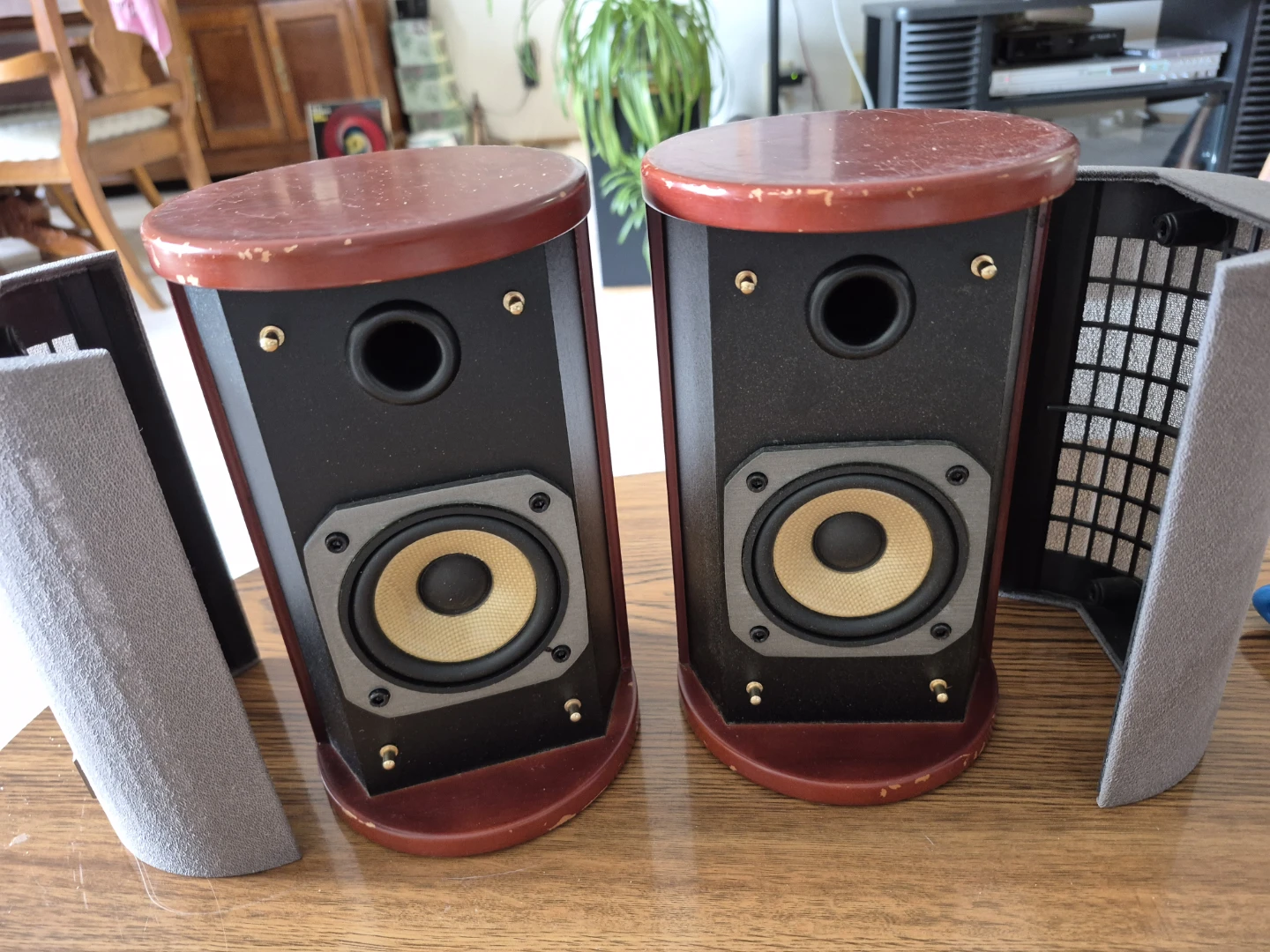 JVC SP-FSSD9 "Wood Cone" Bookshelf Speakers
