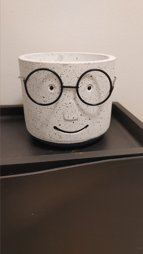 Funny Face Planter Pot with Glasses