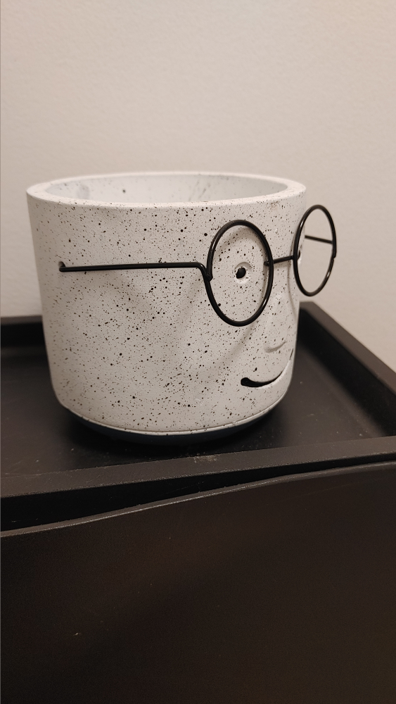 Funny Face Planter Pot with Glasses - photo 2