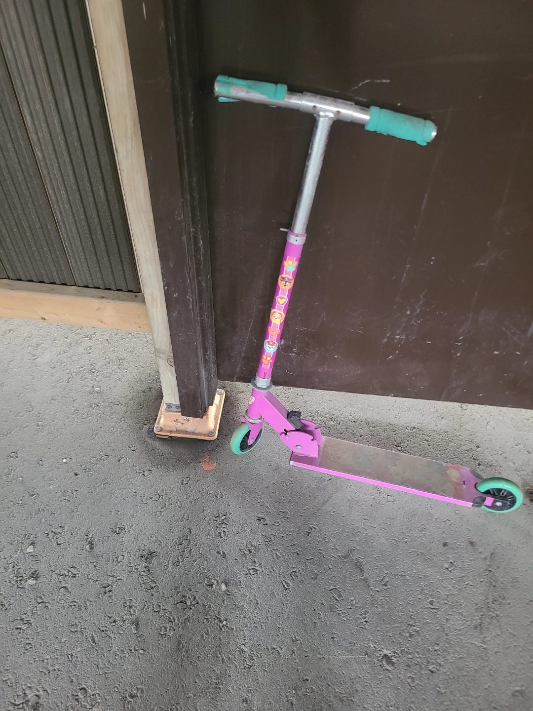 Pink Paw Patrol Scooter