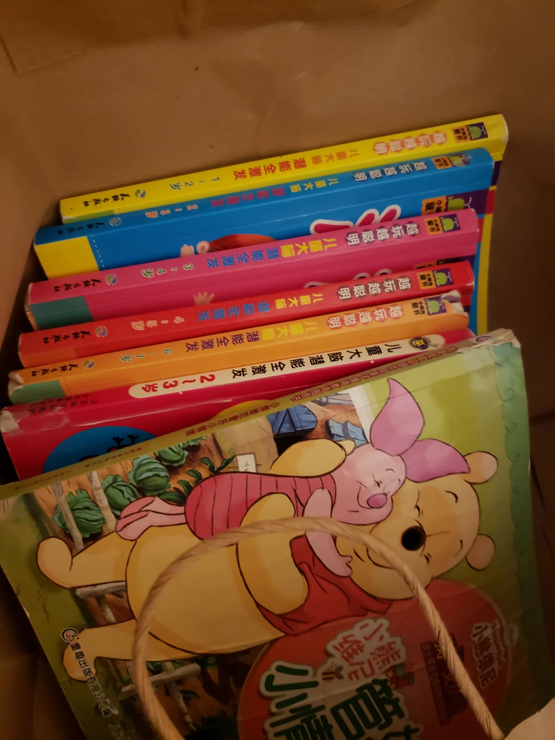 Disney Winnie the Pooh Children's Books (Set of 10)