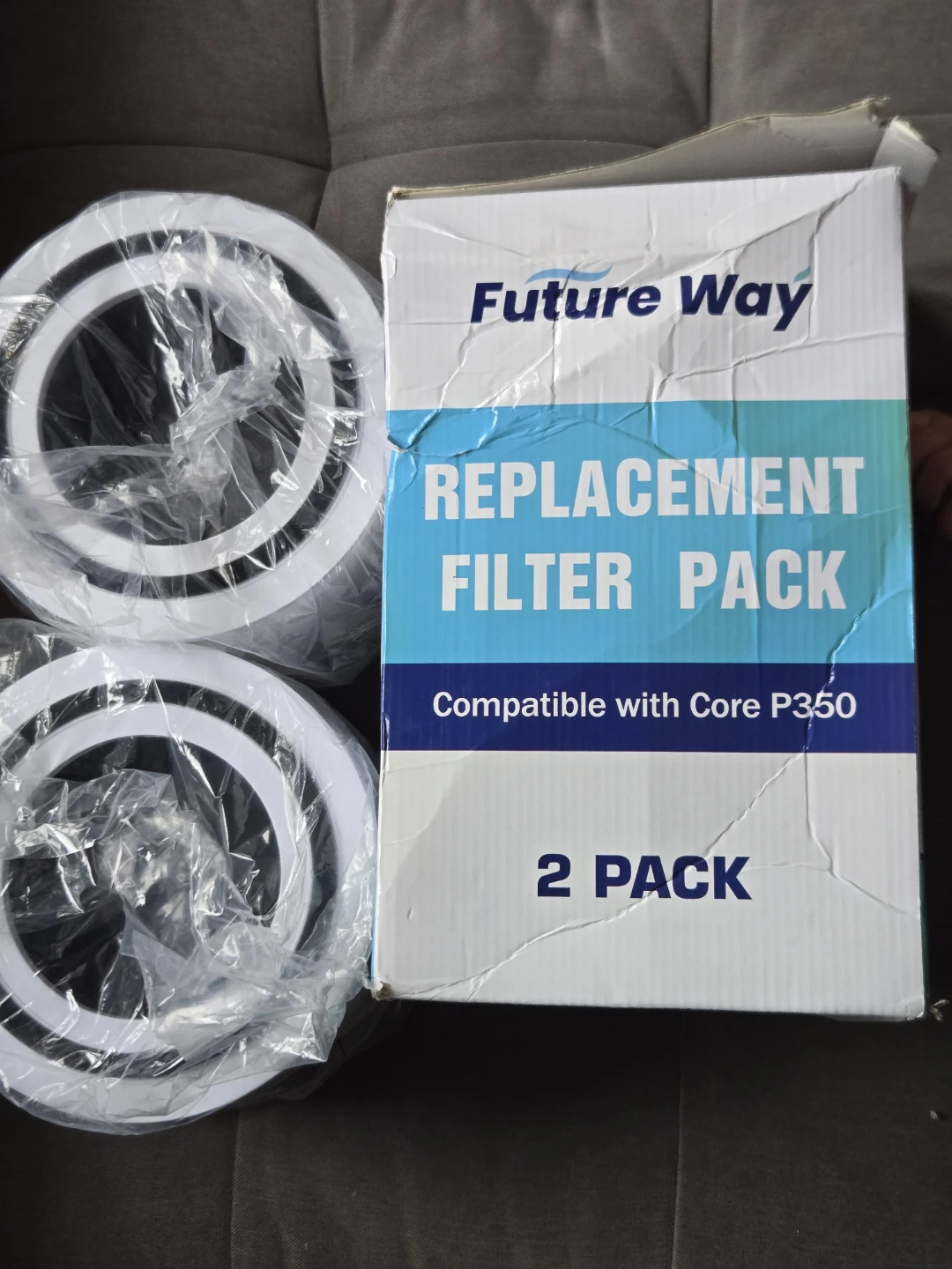 Future Way Replacement Filter Pack for Core P350 - 2 Pack