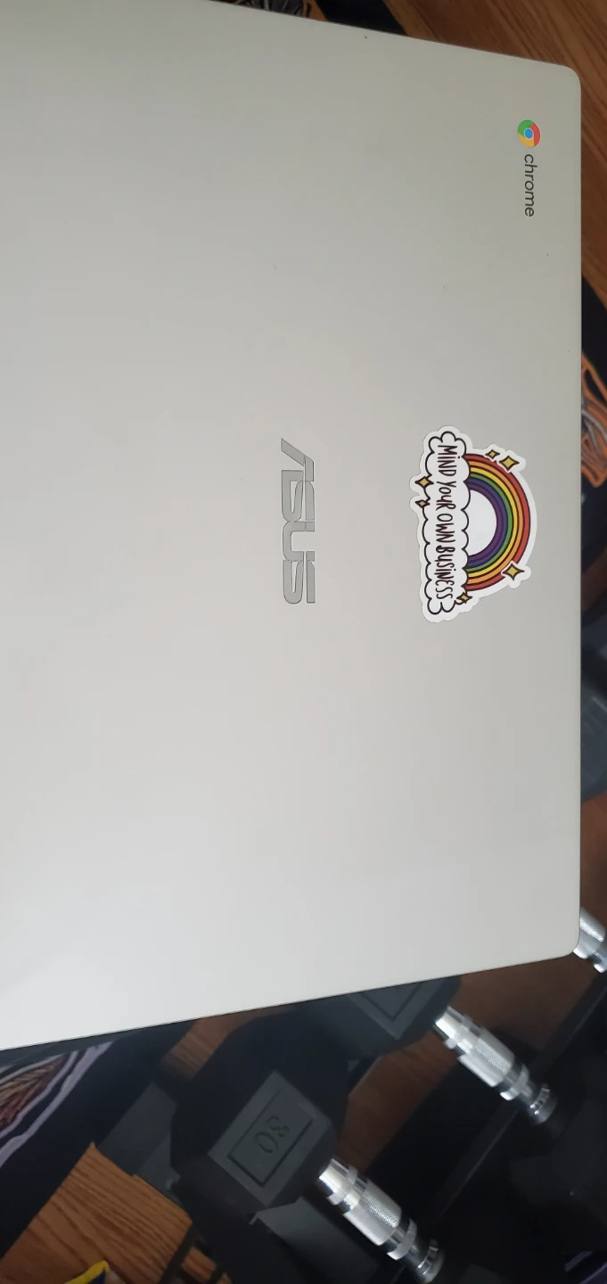 ASUS C523N CHROMEBOOK (2018)
