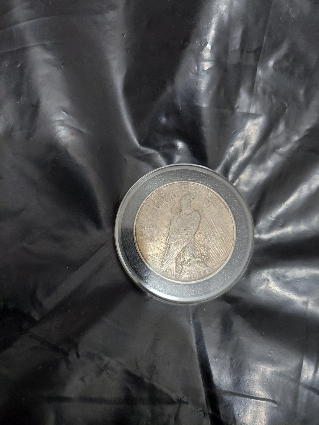 Peace Dollar Coin