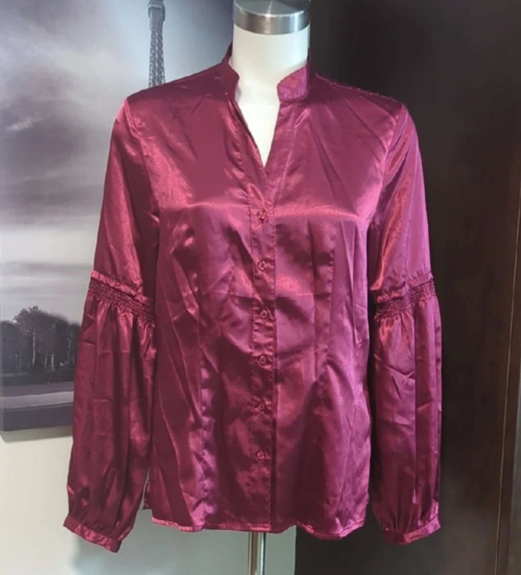 Women's Shiny Burgundy Blouse