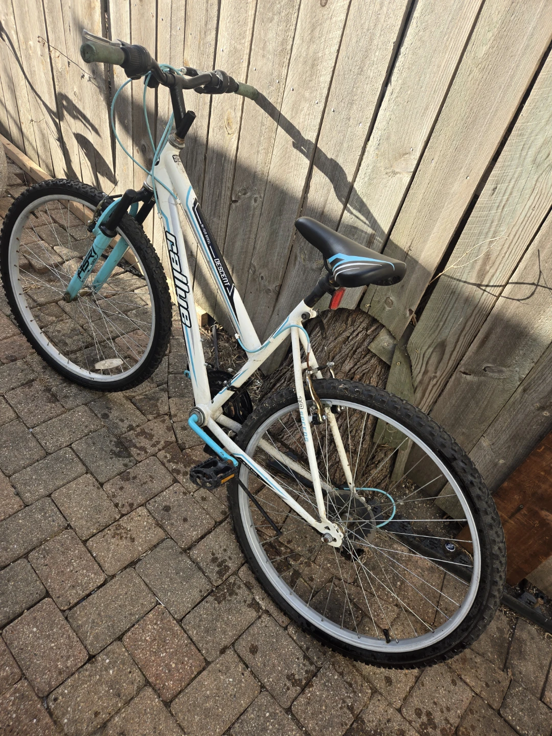 Rally "Descent" Mountain Bike