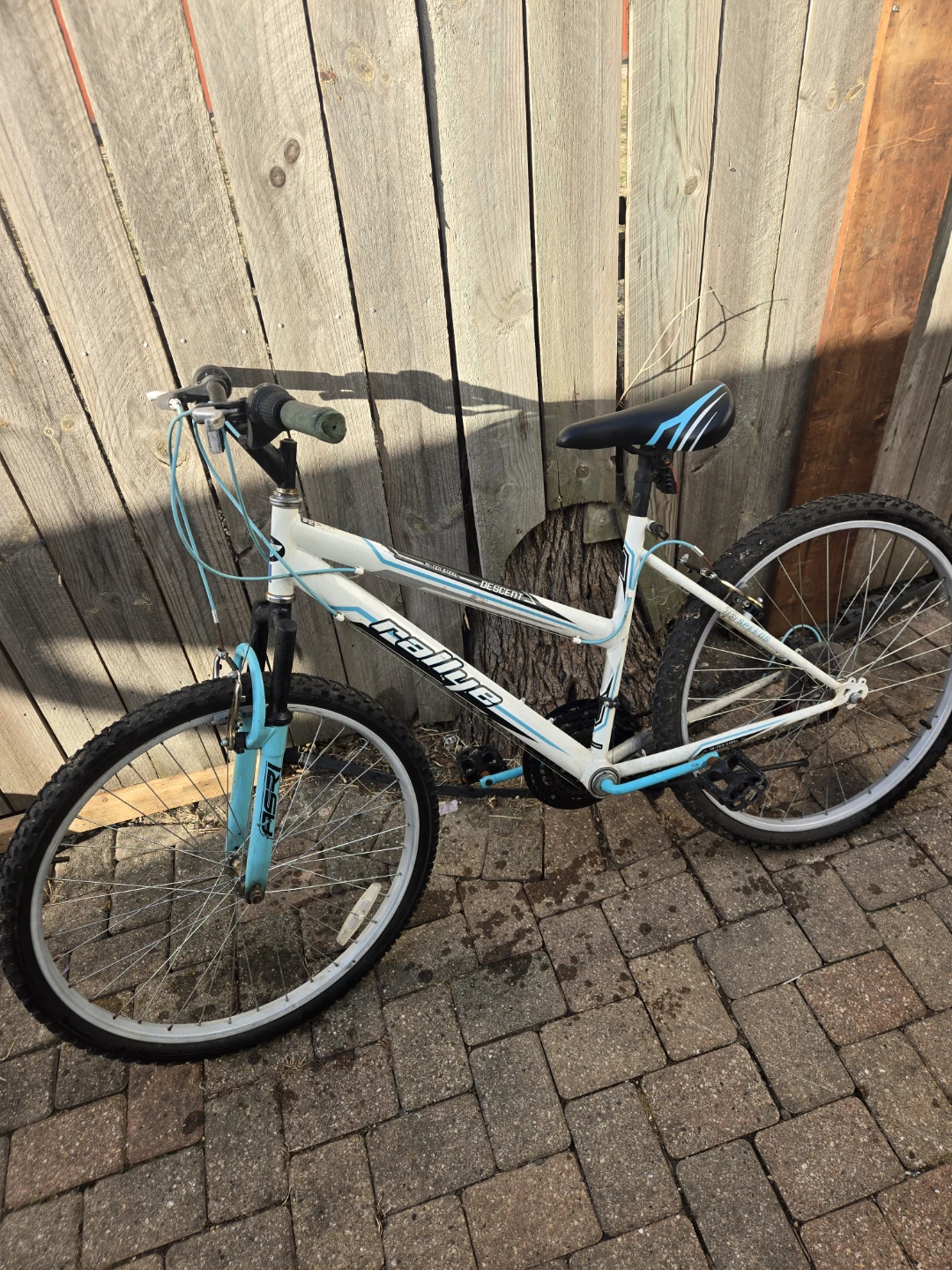 Rally "Descent" Mountain Bike - photo 3