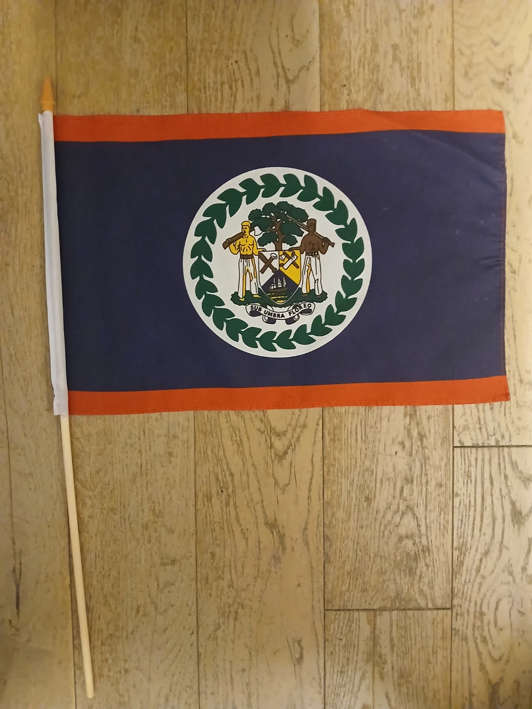 Belize Handheld Flag - photo 3