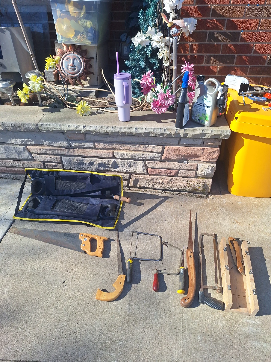 Assorted Saws
