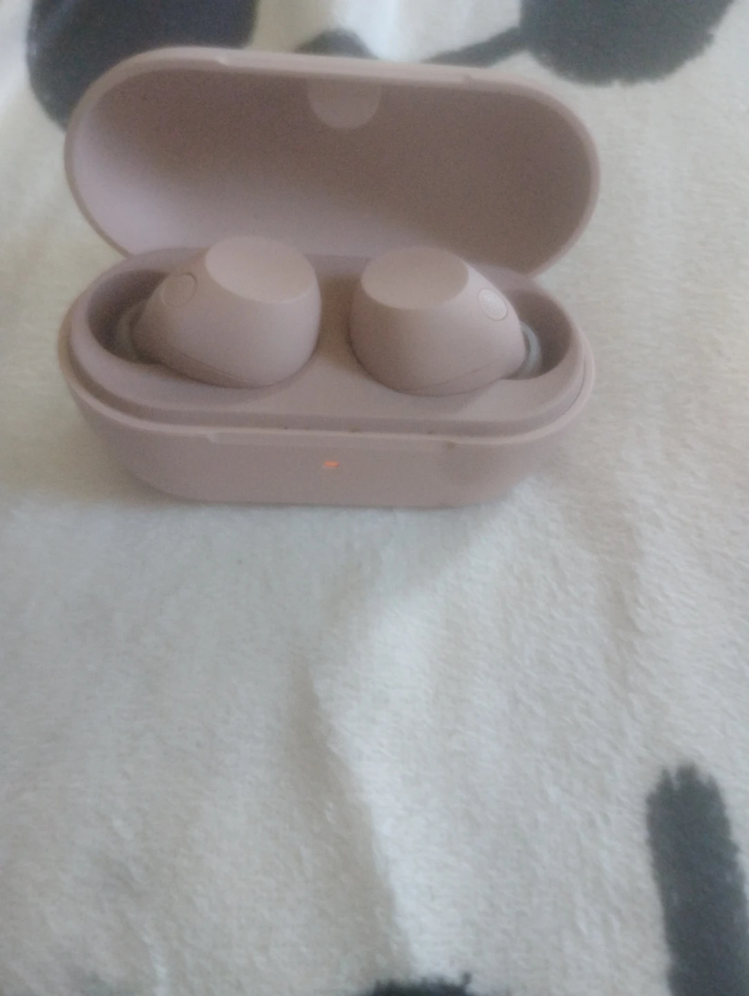 Sony YY2986 True Wireless Earbuds
