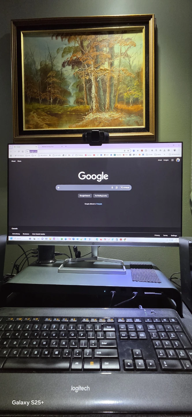 HP 24sf 24" IPS Monitor – Excellent Condition - photo 4