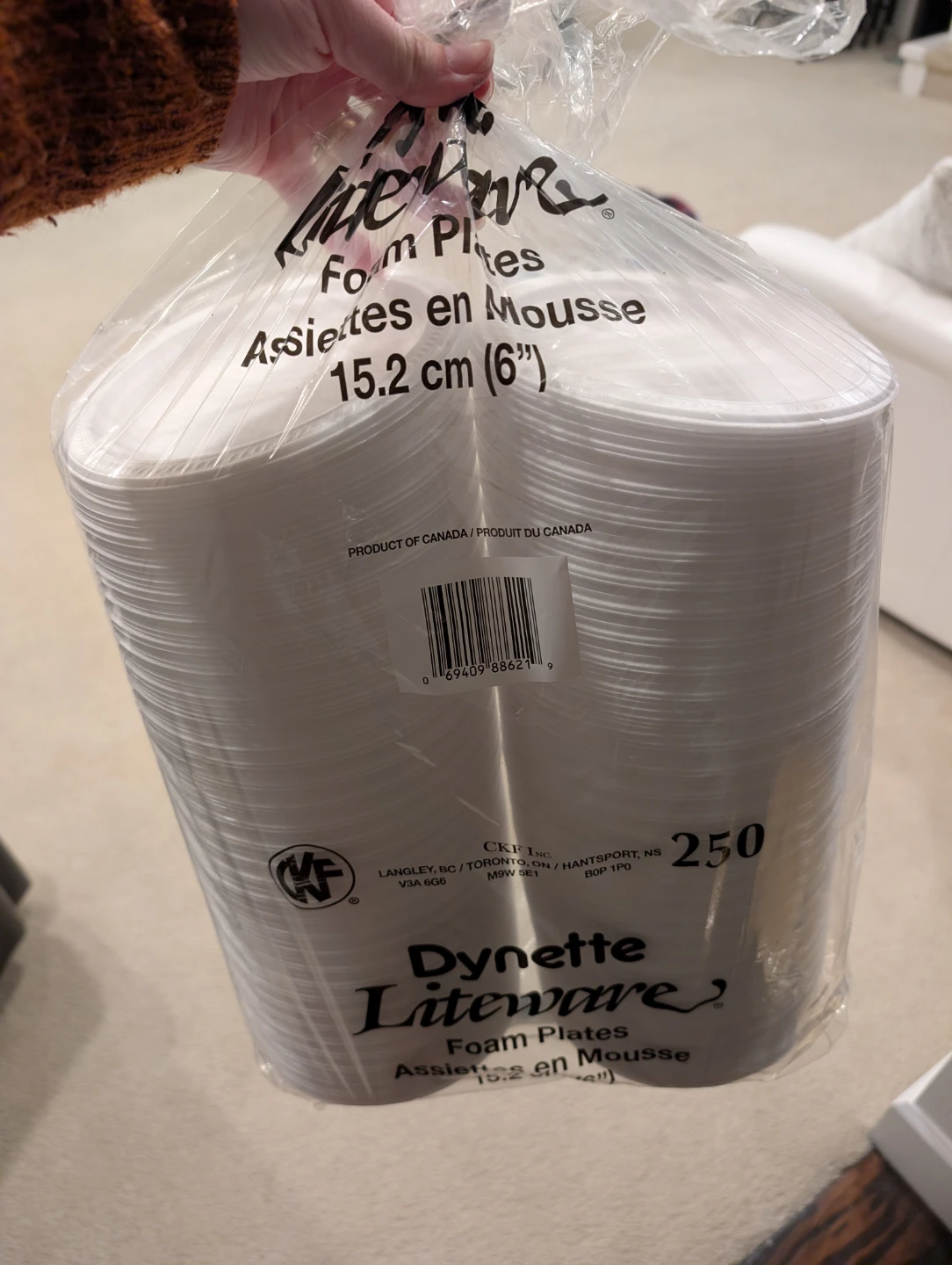 Dynette Liteware Foam Plates - 15.2 cm (6") - Pack of 250